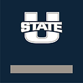 Squares_Utah State.png