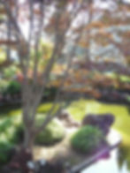 WalnutHills 041.jpg