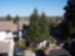 Scenic Overview.jpg