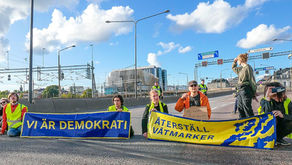 What was the impact of the Swedish Restore Wetlands campaign?