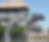 Top Can’t-Miss Stops for Your Florida Keys Family Vacation: Dolphin Research Center