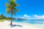 5 Best Day Trips from Marathon, FL for Your Florida Keys Vacation - Bahia Honda State Park