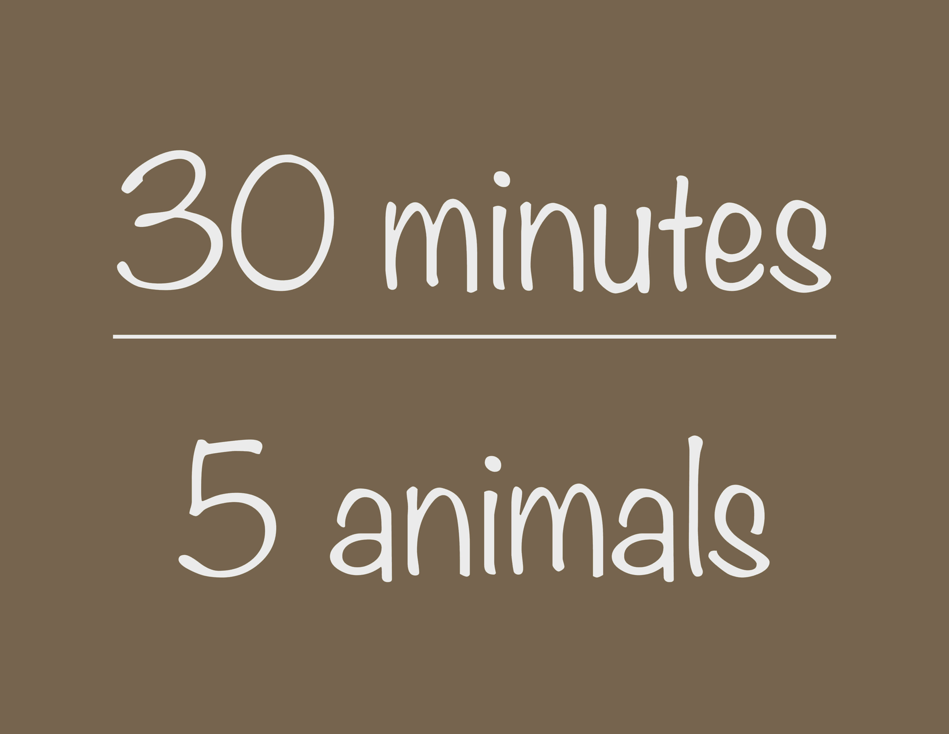 Scouts 30-minute Virtual Program