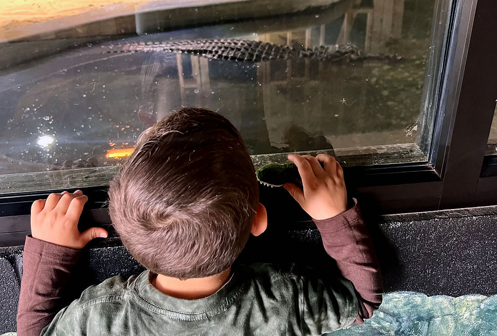 Student exploring reptiles and amphibians at Riverside Reptiles Education Center during a Connecticut school field trip