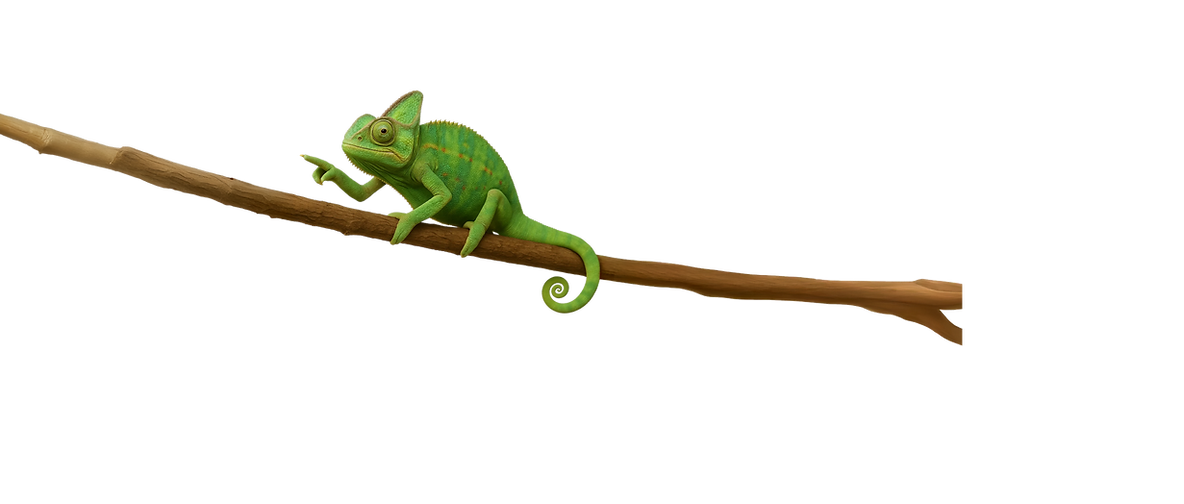 Chameleon Graphic.png