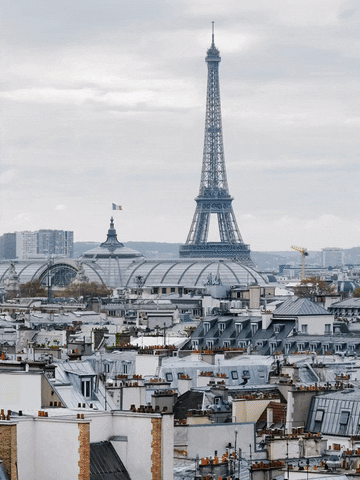 giphy (7)w.gif