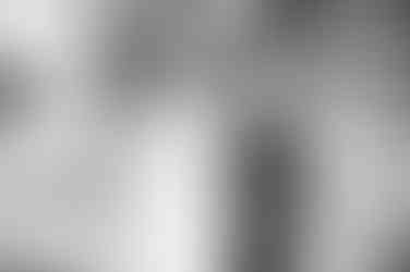 amazing new orleans photographers