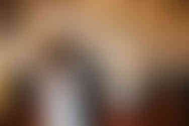 wedding reception at Audubon zoo tea room