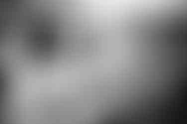 tea room ceremony audubon zoo