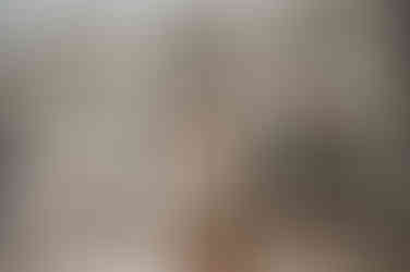 wedding photography at new orleans pharmacy museum