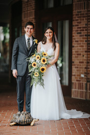 ne worleans wedding at zoo with animals the turtle