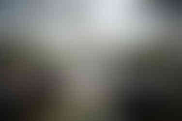 new orleans wedding photography at newman bandstand in audubon park