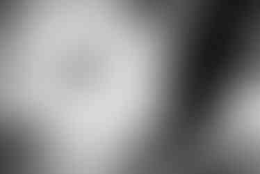 bride poses in dress