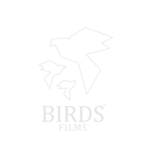 birds films branca.png