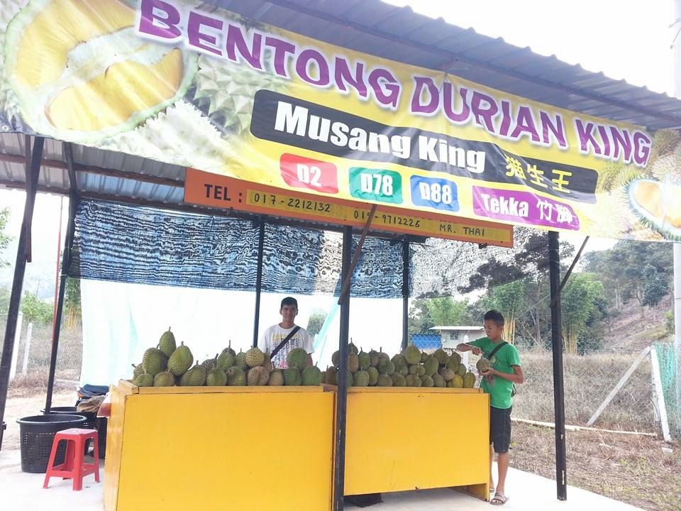 durian boss.jpg