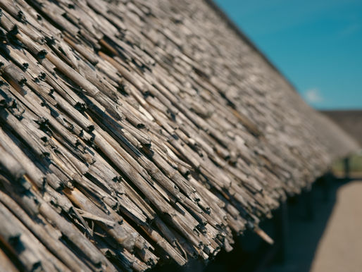 Wann ist der richtige Zeitpunkt für eine Reetdach-Reinigung?