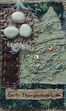 Early Thorogreen Lima.JPG