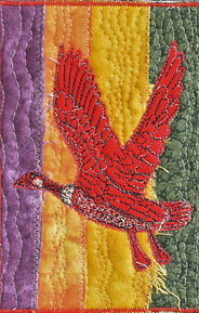 Fair Weather Friend.JPG