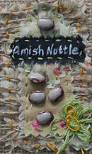 Amish Nuttle_edited.jpg