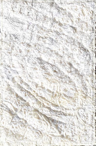 Blowing Snow_edited.jpg