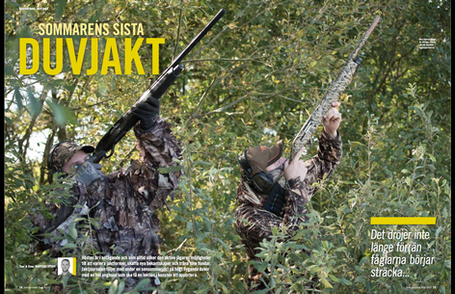 Skärmavbild 2017-10-12 kl. 10.27.00.png