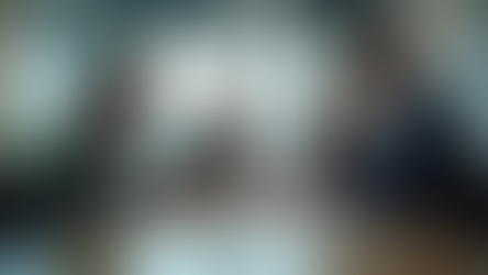 Enhancing Project Feasibility: Expert Insights from OSR