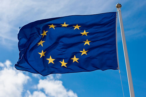 EU flag.jpeg