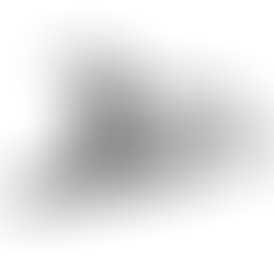 PMT Van by 360 Quality Care + Transport Services