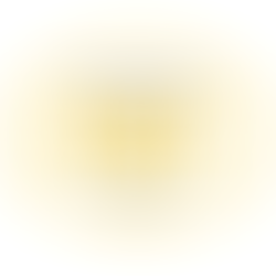 Priority Medical Transport