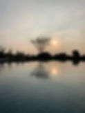 IMG-3909-2.jpg