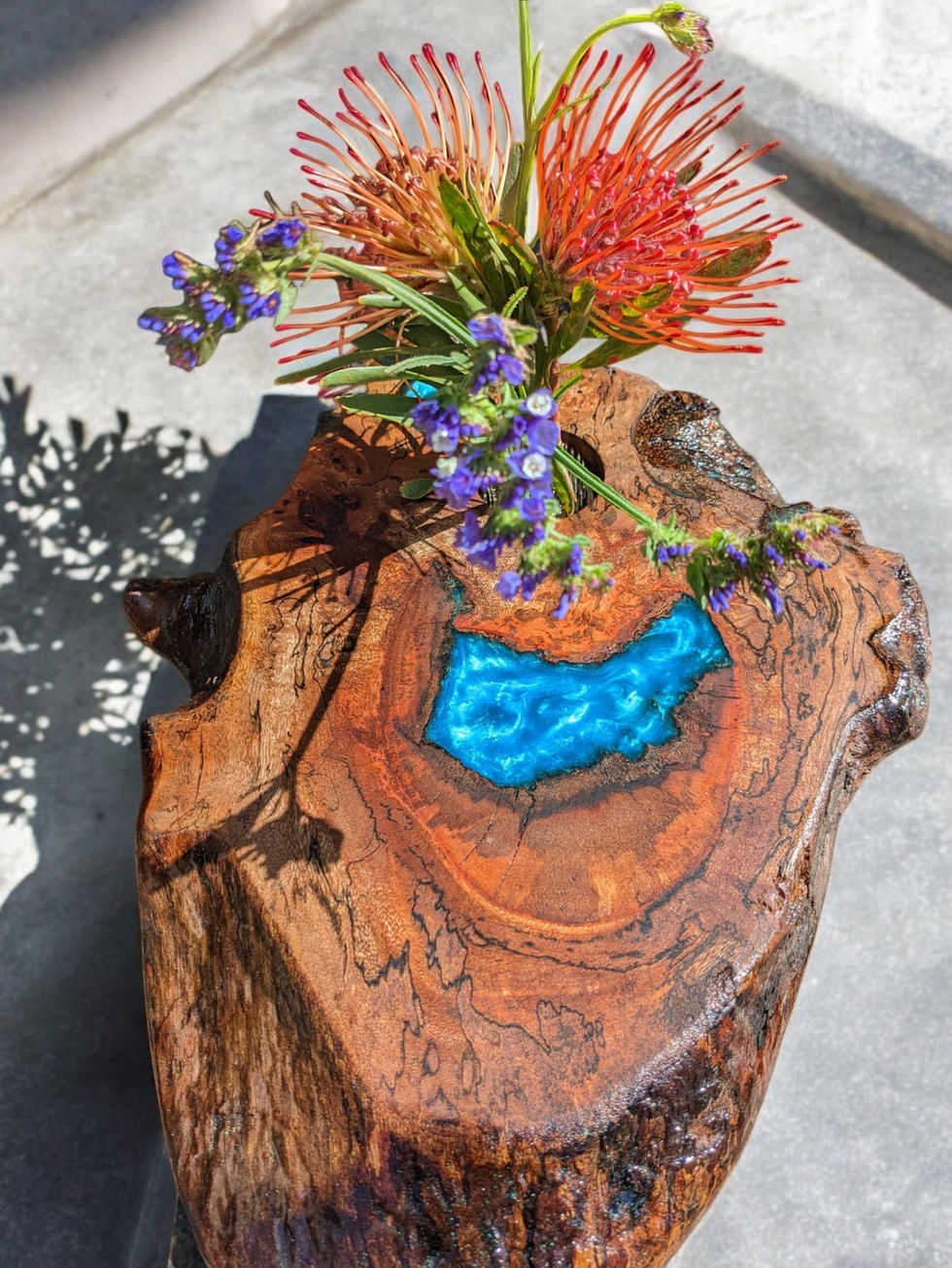 avo frog-Photoroom