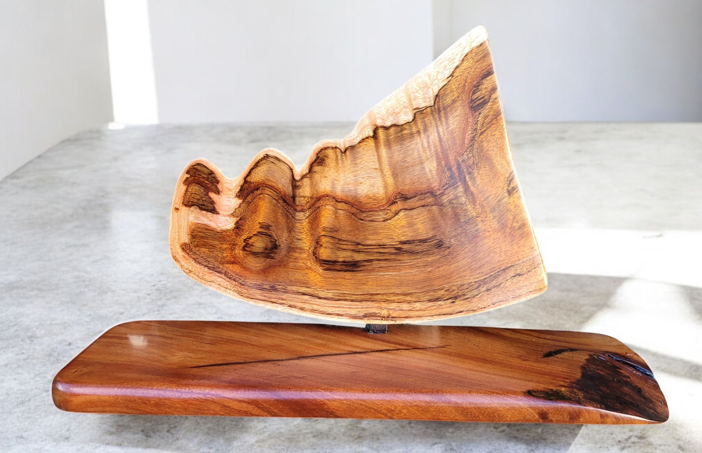cycle of life koa on stand
