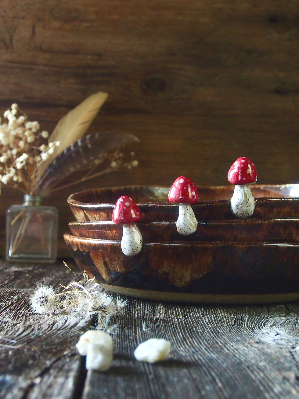 Thumbnail: Toadstool Pasta Dish Set
