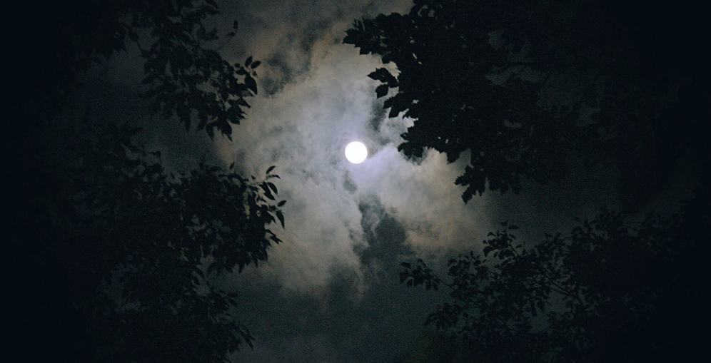 Untitled design (20).png