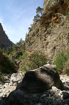 Part of Agia Irini Gorge