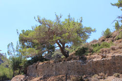 Ancient Aqueduct of Sougia