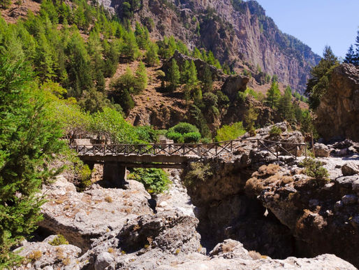 Exploring Samaria Gorge: Why Starting from Sougia Offers a Better Experience than Chania