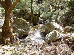 Agia Irini Gorge