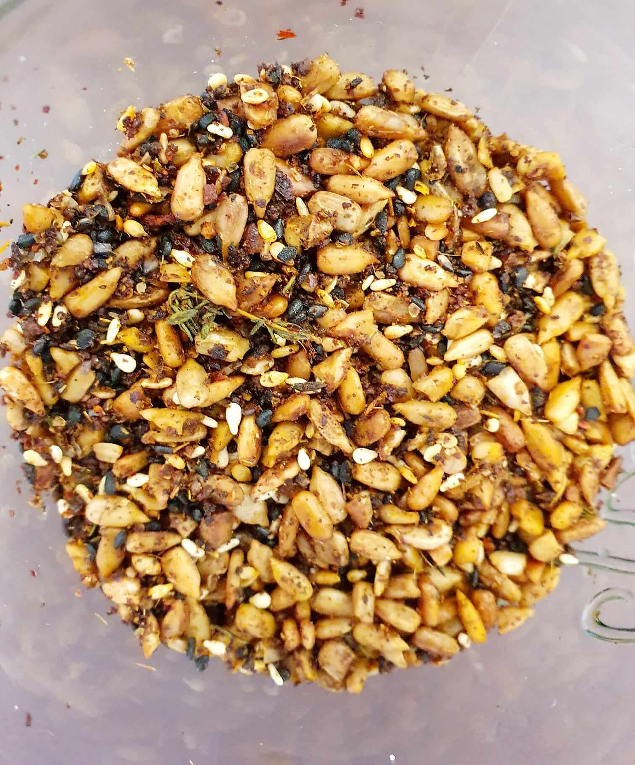 Orecchiete mit Dillpesto