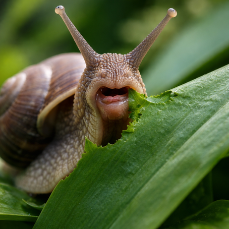 Gottes Werk & Teufels Beitrag