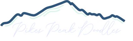 PPD_lightlogoscript_edited