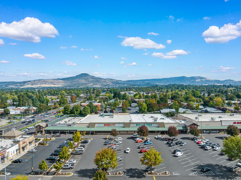 5-web-or-mls-DJI_0624