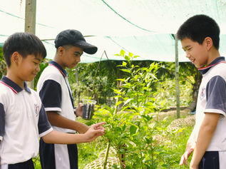 Hands-On Learning at G-Farm: Sixth Graders Explore Poultry and Farm Life