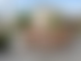 National Boy Scouts Day