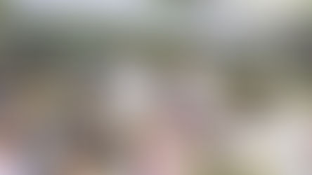 The Joyful Loy Krathong Celebration