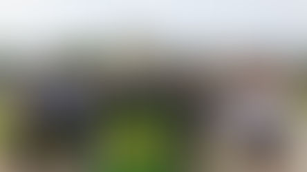 STS Welcomes Delegation from Mingshin University & LiveABC