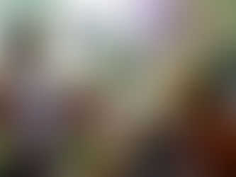 Father's Day Celebration 2020