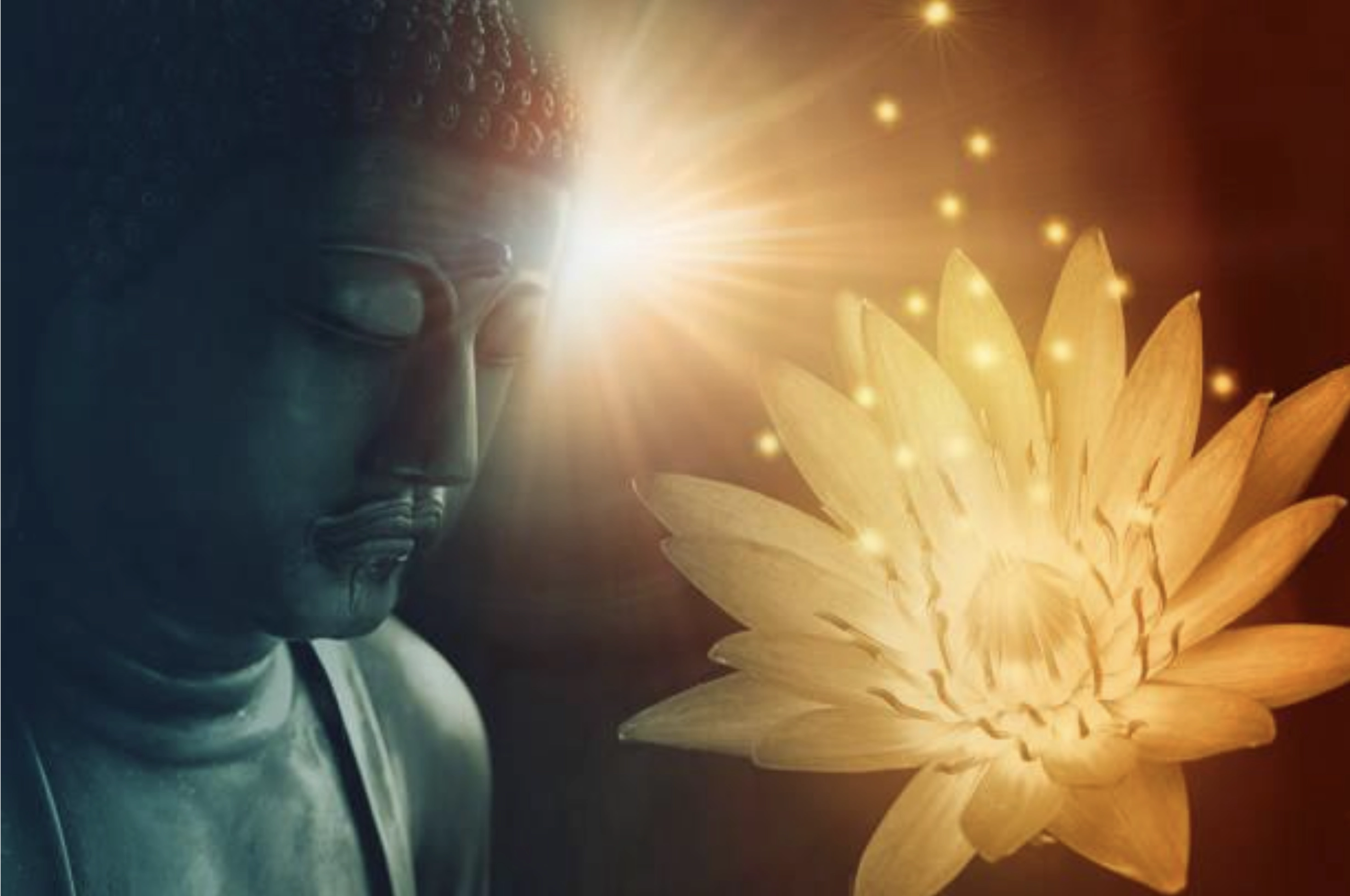 A Celebration of Light and Love! – Almora's 20 year anniversary gathering