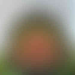 Hautvillers sud Champagne