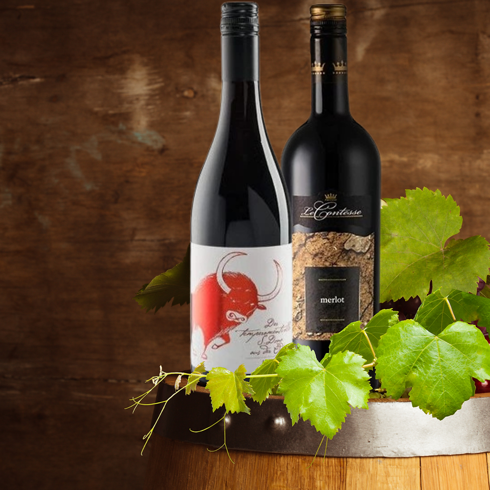 2 lahve červeného vína Merlot na dřevěném sudu